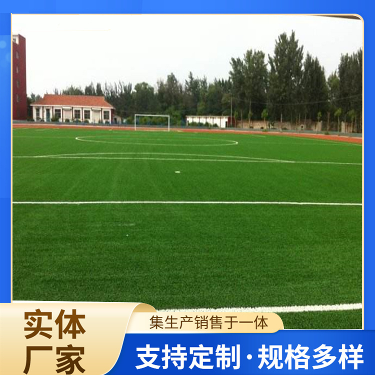 郴州市塑胶跑道材料人造草坪 - 厂家